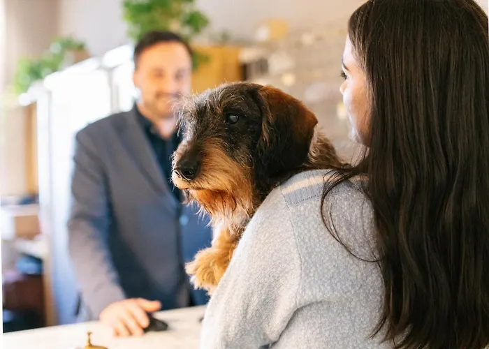 レジデンス エスプラナード 4* ヴィアレッジョ